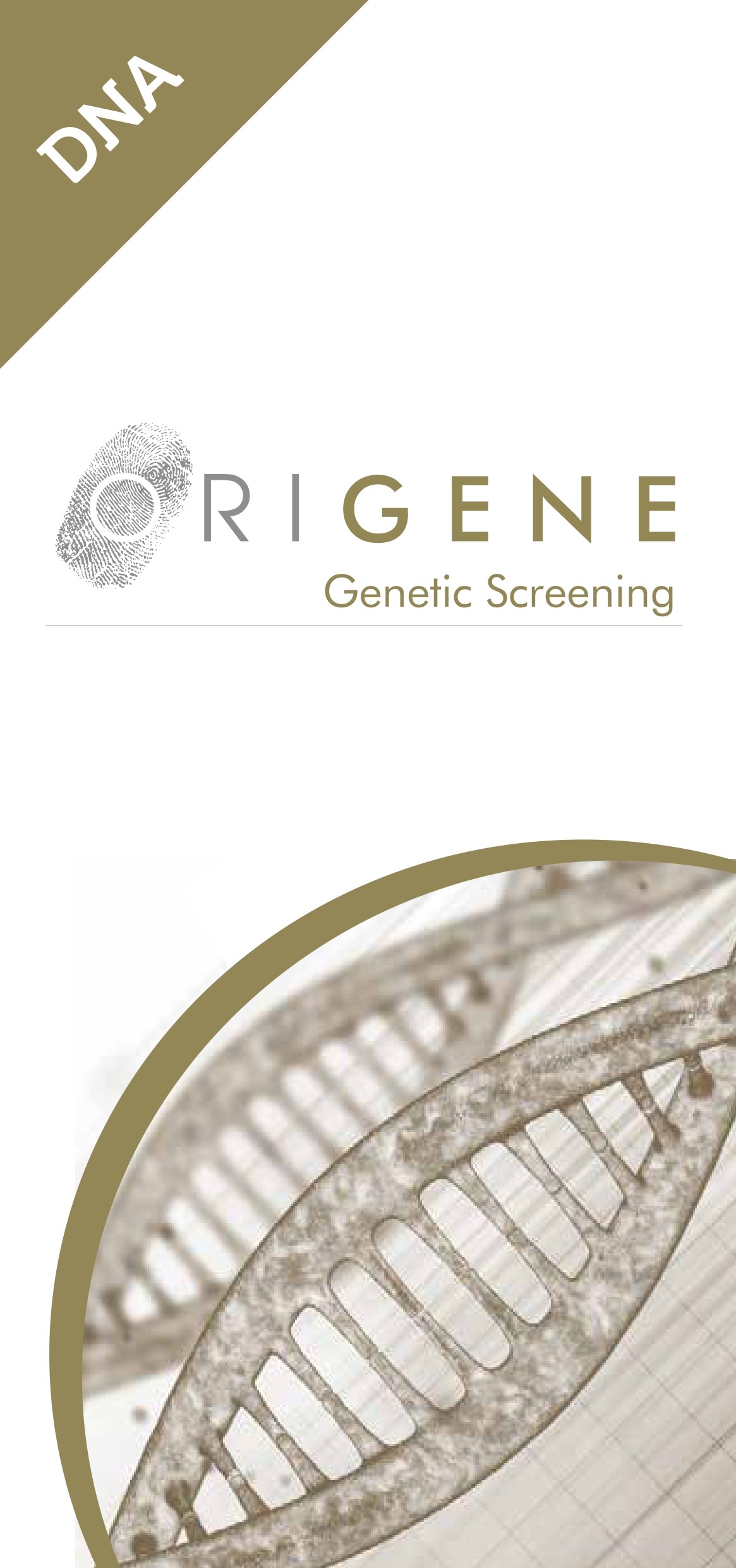 Origene